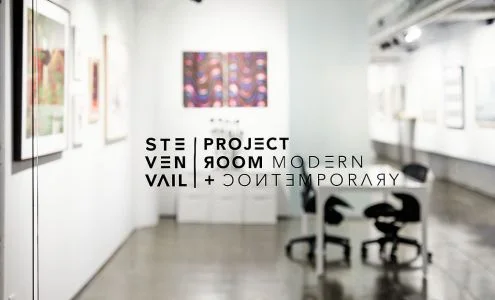 Steven Vail Fine Arts Project Room business photo